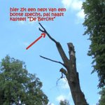 Photo by Kasteel de Berckt (@berckt)
