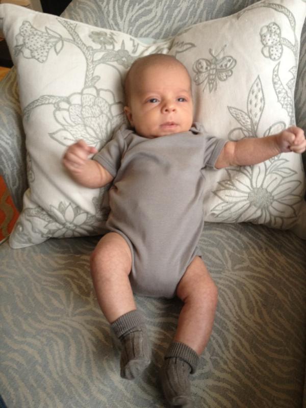 JSInteriors's tweet image. Very 'Chelsea Textiles' @chelseatextiles @charlottes_web