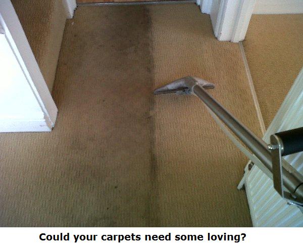 CarpetsCol tweet picture