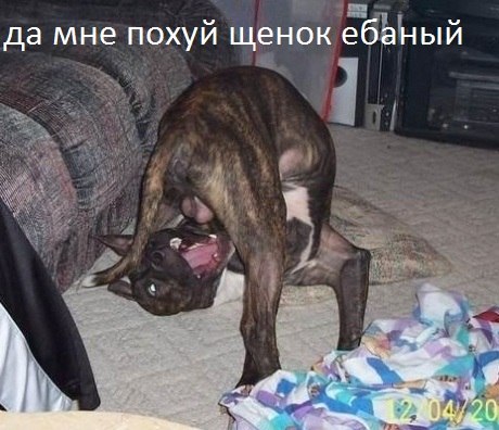 DirectorSimple's tweet image. 