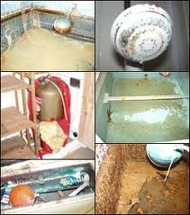 kbinksheating's tweet photo. For Legionella surveys and all building services maintenance contact us info@binksheating.com packages are available http://t.co/M9UmBq5R