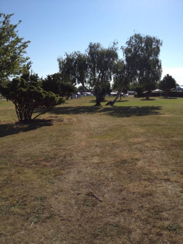smultronfia's tweet photo. Morgonens promenix på Öland. http://t.co/eERwTXTz