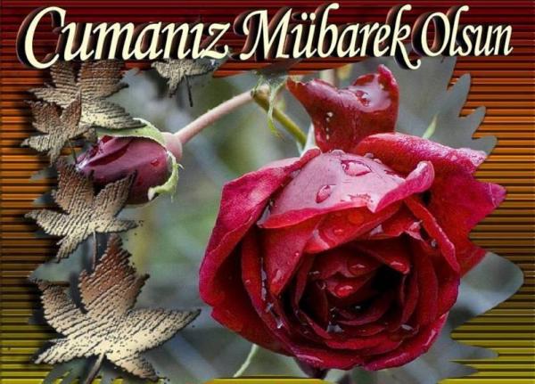 Erkan1Korkmaz's tweet photo. Hayırlı ve Bereketli Cumalar... http://t.co/YnAmPaB5