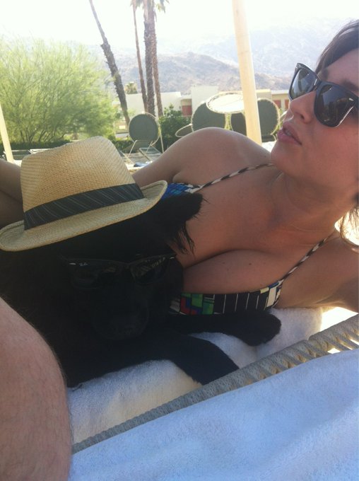 Straight chillin. Oso Peligroso. http://t.co/VLzIY8az<a href="/tag/covfefe"class="tags"><span>#covfefe</span></a>