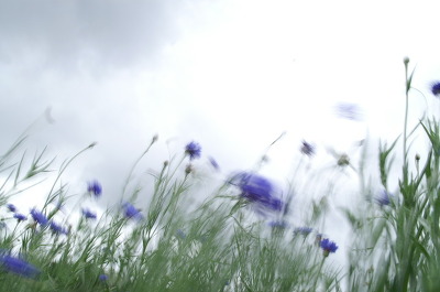 매일 읽는 한줄공감 (@slove1213) on Twitter photo 