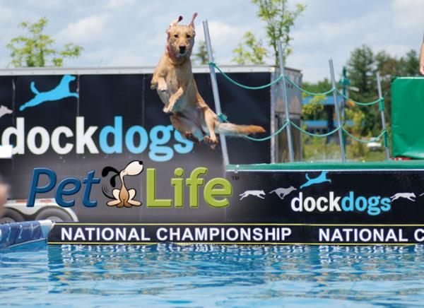 The dogs are coming!  Check out Dock Dogs this weekend in Scarborough, put on by our neighbor Pet Life.  It's amazing.