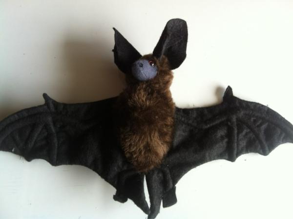 Ya están a la venta los peluches de murciélagos para apoyar nuestra gestión. Encuéntralos en pcmecuador.wordpress.com