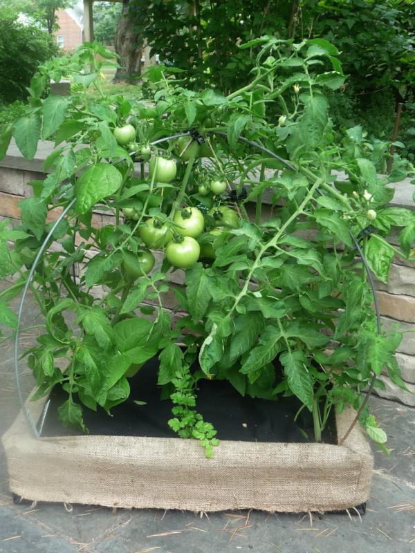 We're tweeting here at Victory Boxes! Check out more at victoryboxesrva.com!