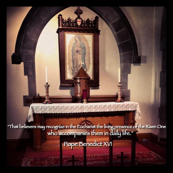 NewmanUofT's tweet image. What is Pope Benedict praying for this month? #HolyEucharist #LivingPresence #RisenOne #Christ #PapalIntentions