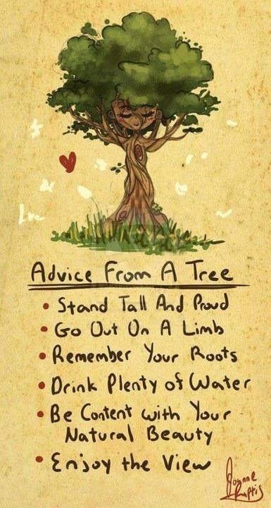 tracievv's tweet photo. http://t.co/Nq6ZZ9Fv