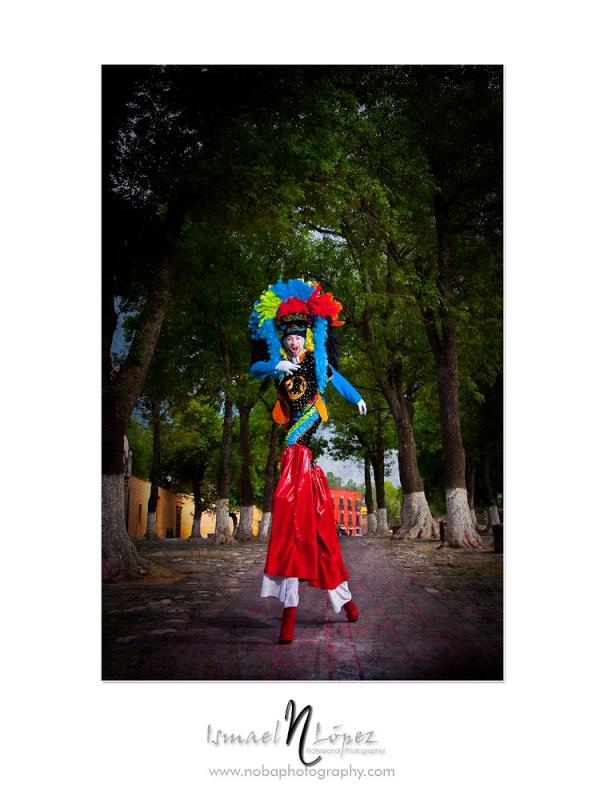 espejo ilusion (@espejoilusion) on Twitter photo 