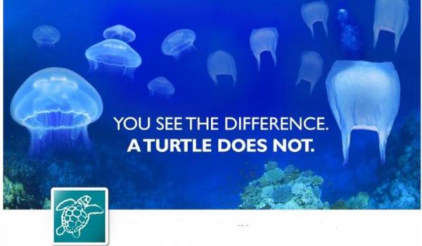 MuchowskPaulina's tweet photo. Great picture. Found on Facebook on Wild Conservation and Wildlife Trust page. http://t.co/Obf7weMN