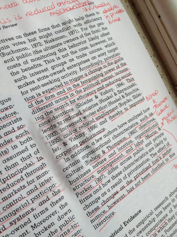 CiaraKaneen's tweet image. My chihuahua just peed on my dissertation reading... He must have been reading my mind haha #MBAdissertation
