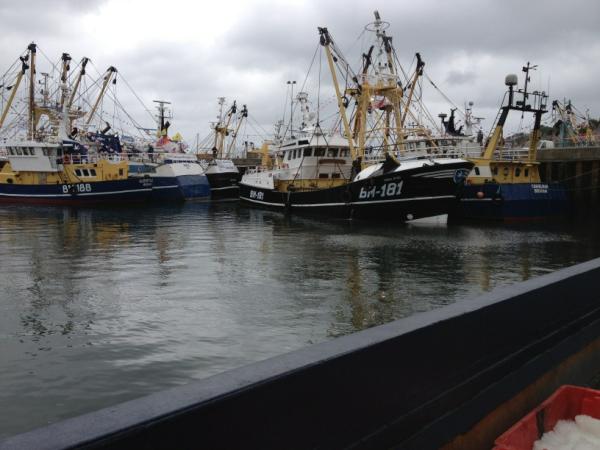 Fish very scarce at the moment not sure but maybe the weekend trawler race, has something to do with it.