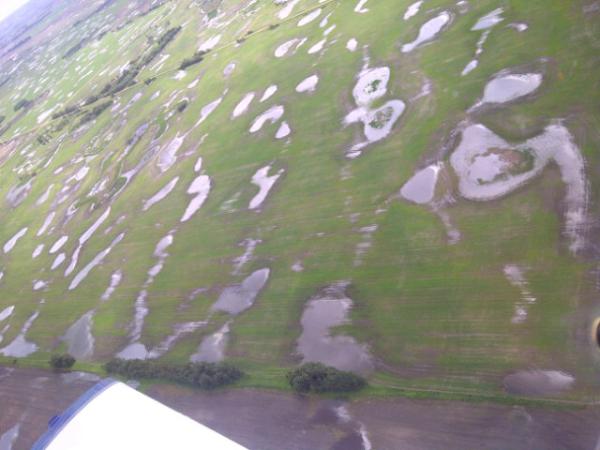 k_fehr's tweet photo. Unbelievable amount of water on our land! http://t.co/yfFz6GUC