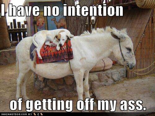 grgbrady08's tweet photo. http://t.co/c9HKy5QF