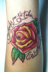 Iam_Raptor's tweet photo. Rose. http://t.co/AR5M9UU6