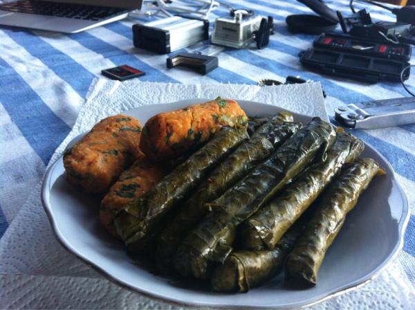 WOW! Check what the neighbor just brought to Nic in Turkey - #vegetariandelight