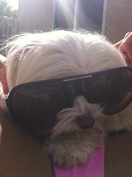 I have the cutest daughter ever. http://t.co/r8J6Q0Ul<a href="/tag/playboymagazine"class="tags"><span>#playboymagazine</span></a>