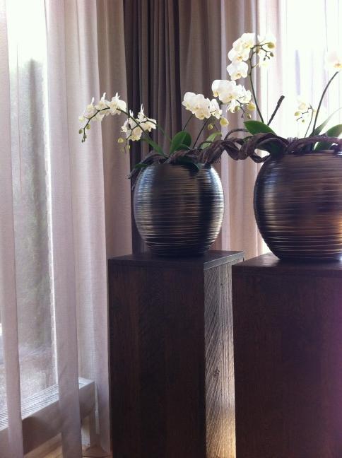 geest_ronald's tweet photo. Test http://t.co/QCDXQrfF