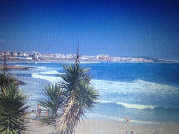 IssaMhler's tweet image. Spanien, torrevieja om 22 dagar!