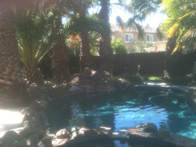 This is my friends back yard where I've been staying... I love palm trees.&nbsp; http://t.co/OoQ9w0Q7