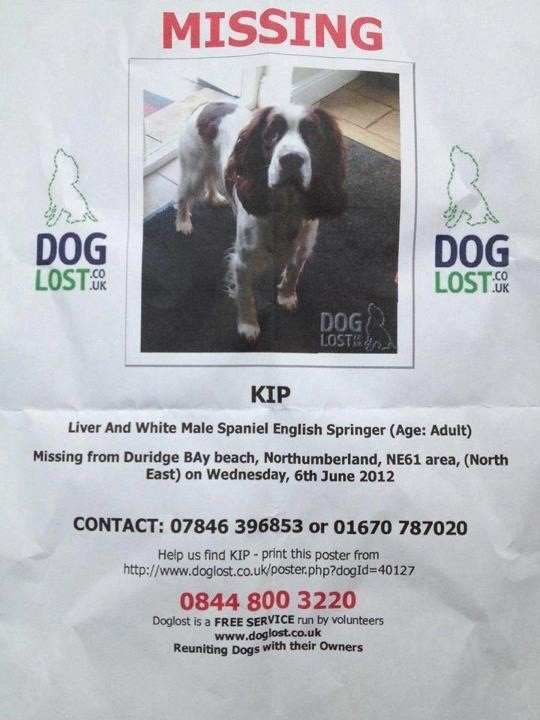 BerryDog's tweet photo. @EveningChron please help.. #helpusfindkip please RT http://t.co/XYb8psXE