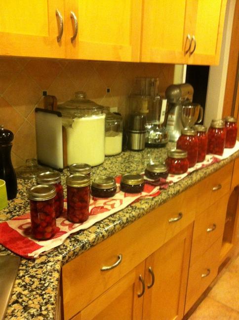 CathyBarrow's tweet image. Twelve quarts if tart cherries conquered #canvolution