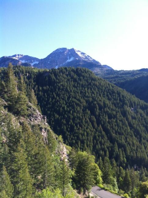 BeaverWater's tweet photo. Picture from this weekends hike. Very cool. http://t.co/QaVnS0v9 http://t.co/U8iFmrn8