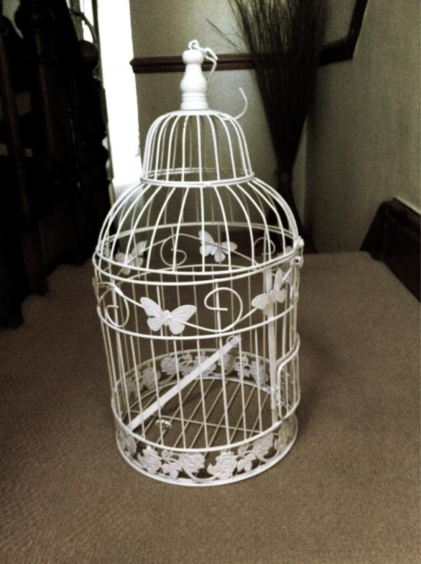 Hollie_Cooper's tweet image. Bought myself a bird cage 🐤 #RandomPurchase