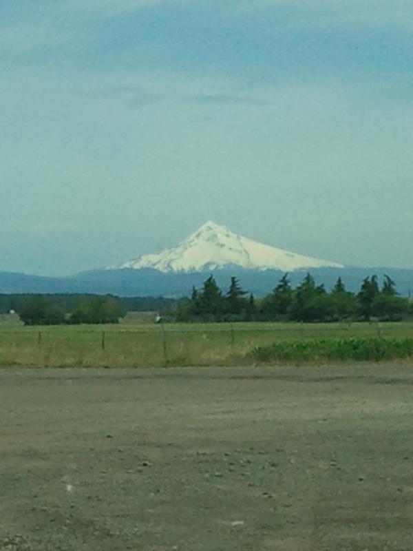 Sam Rice tweet media