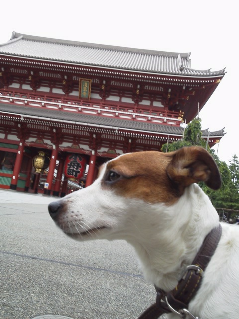 ハチ‥女子にガン見 http://t.co/dZgzVThf