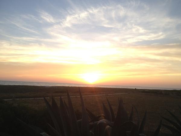 AlexandreAmadu's tweet image. @JohnnyOSings here sunny :) good luck At game :) love you!#JOforever