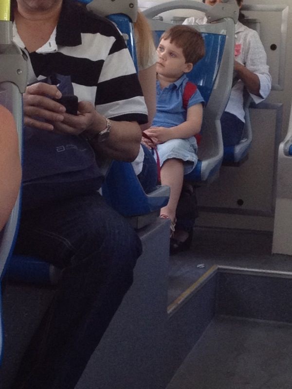 leticia palencia tweet media