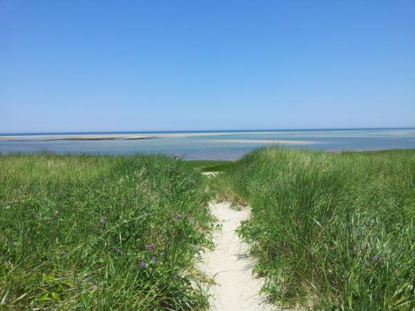 EcoCleanCapeCod's tweet image. Crowes pasture &amp;lt;3