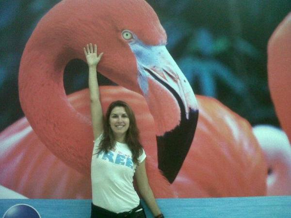 FreeMindCB's tweet photo. Back in the Sunshine State, Grateful for Free Mind CB Life Style... http://t.co/Iw3OcoyN