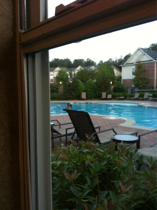 TayAmos's tweet image. NEVER swimming in the villas pool again. #fornicating #gag