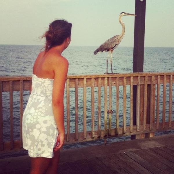 MRMUSKfh's tweet photo. Heyyyy bird http://t.co/PThp6bFq