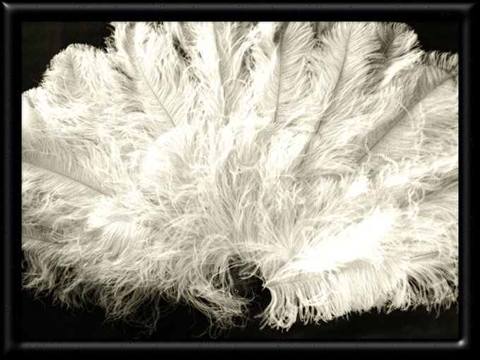 CANNOT wait to play!!! #burlesque #feathers http://t.co/n1LDhrCX<a href="/tag/burlesque"class="tags">#burlesque</a><a href="/tag/feathers"class="tags">#feathers</a>