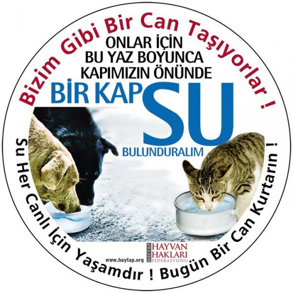 eglenceye's tweet photo. http://t.co/ZtSXvRz3 olarak "Sokak Canlıları İçin 1 Kap Su" etkinliğini destekliyoruz... http://t.co/npjjljBE