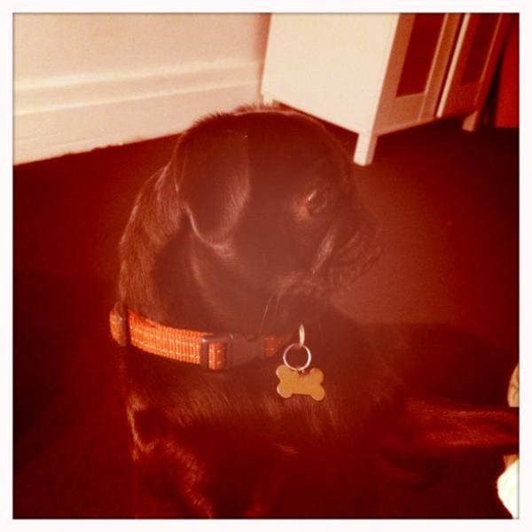 tarncham's tweet image. 