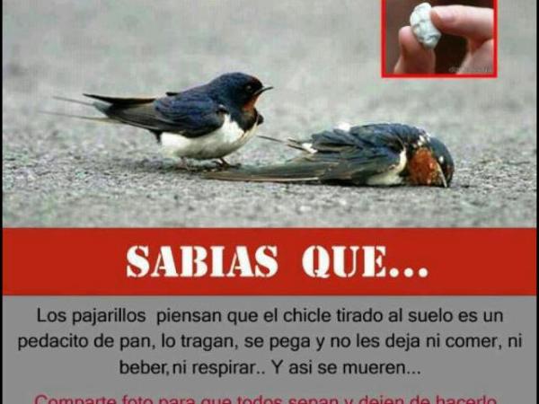 johannalondono1's tweet photo. ☹ http://t.co/5fwXBFIw