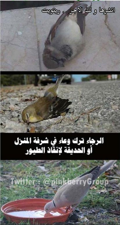 secret_ch_com's tweet image. الموضوع سهل .. شف الصوره