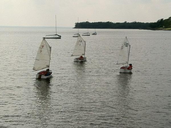 SeaCoach's tweet photo. Opti Training Galore http://t.co/oMYDIdoY
