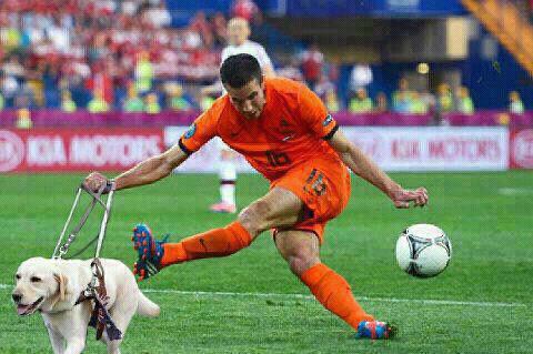 Maakt veel duidelijk