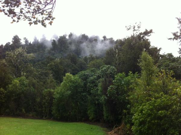 FlatEarthNZ's tweet photo. Winter in Rivendell, the Elves truly have left this place! #LOTR #Hobbit http://t.co/bG4ILA9r