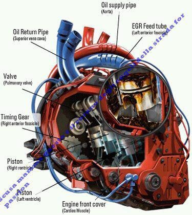 CarTechMotor tweet picture