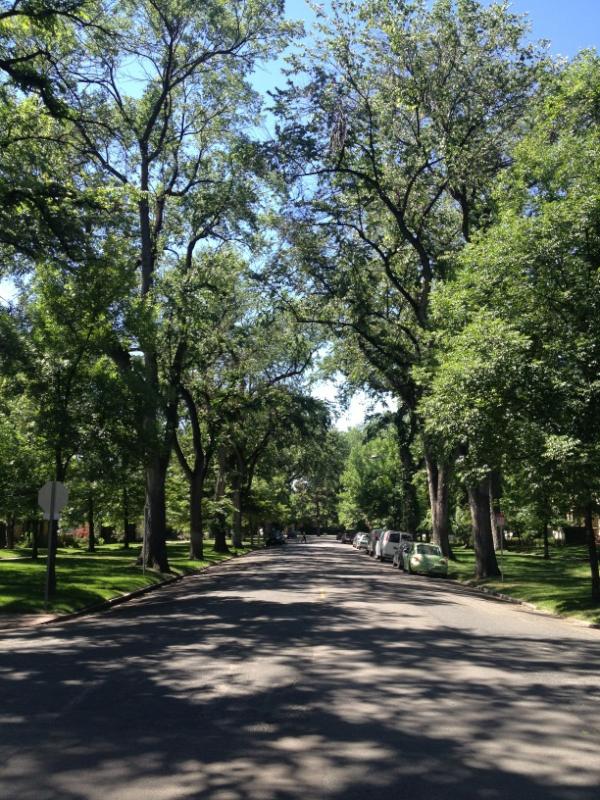 OneRepublic's tweet image. Breathe