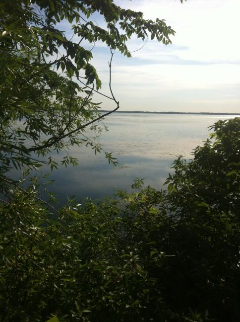 LauraMinAustin's tweet image. #gls8 view from pre conference walk- Madison is lovely!