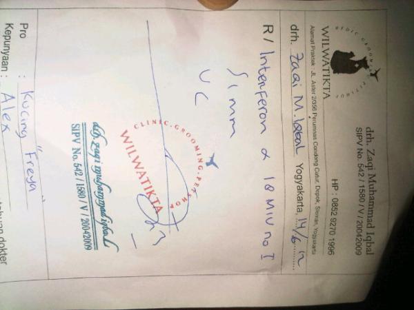 YessaAlexander's tweet photo. @zit_noniek cari ini dimana ya?Urgent!! http://t.co/nePQtcG